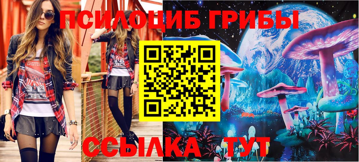 Псилоцибиновые грибы мухоморы Северск