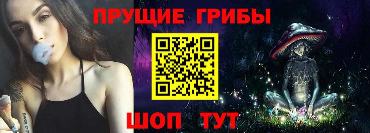 Северск  Псилоцибиновые грибы Magic Shrooms  Псилоцибиновые грибы Psilocybe  Вход с VPN 